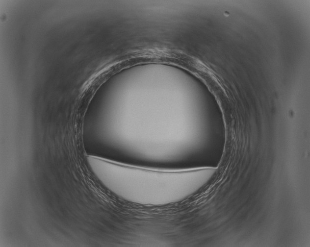 X0000087551304200704270938