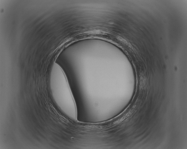 X0000087551305200704270939