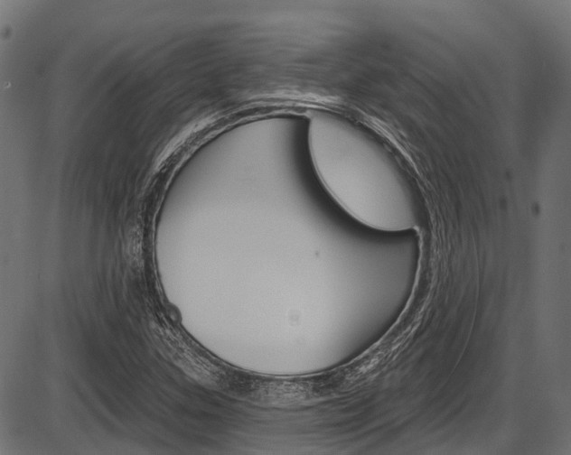 X0000087551307200704270939