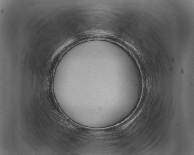 X0000087551309200704270939