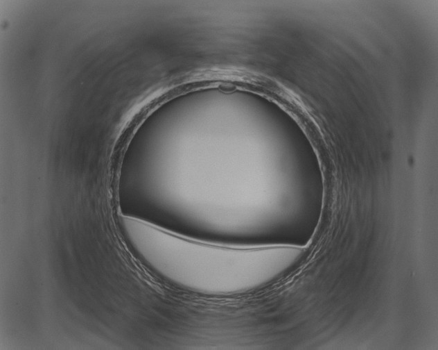 X0000087551312200704270939