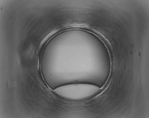 X0000087551317200704270939