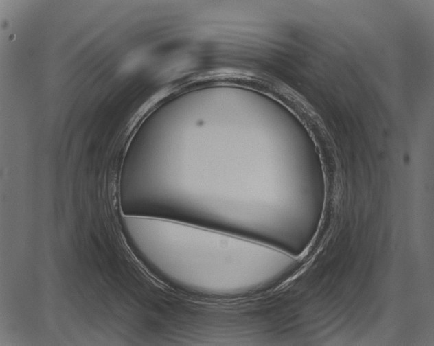 X0000087551321200704270939
