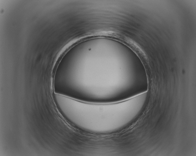 X0000087551324200704270939
