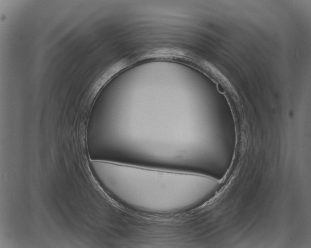 X0000087551329200704270939