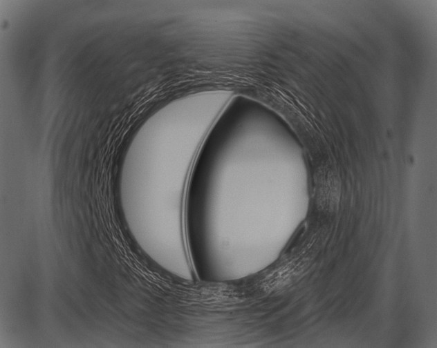 X0000087551345200704270938