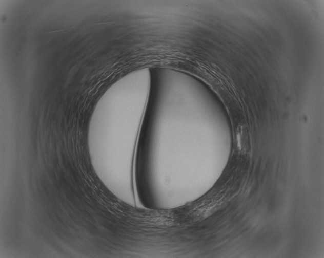 X0000087551347200704270938