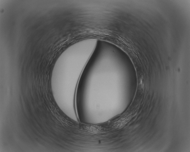 X0000087551348200704270938
