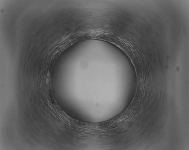 X0000087551349200704270938