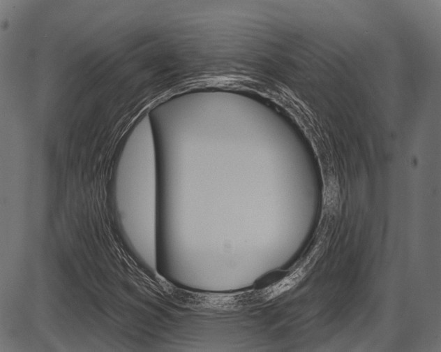 X0000087551353200704270938