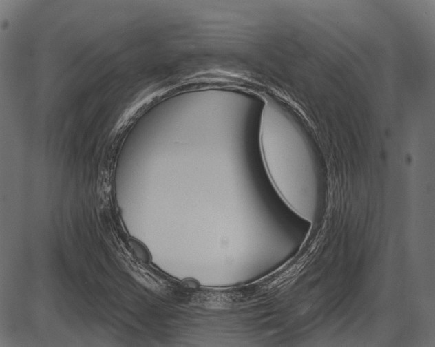X0000087551355200704270938