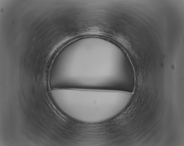 X0000087551356200704270938