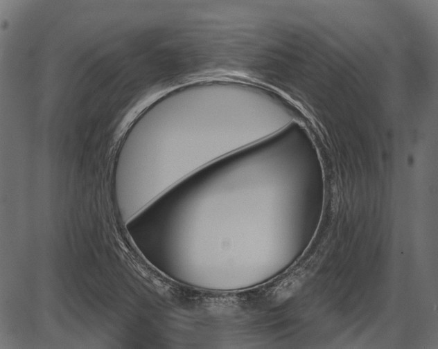 X0000087551363200704270938