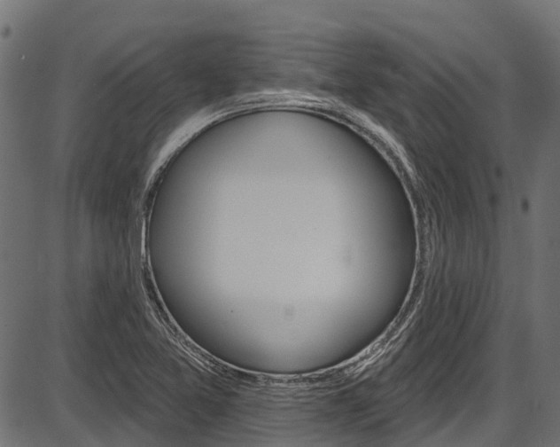 X0000087551365200704270938