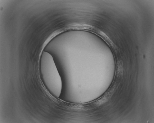 X0000087551370200704270938