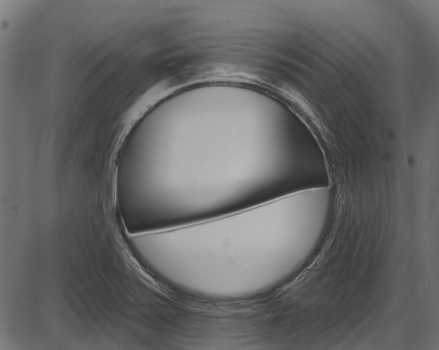 X0000087551371200704270938