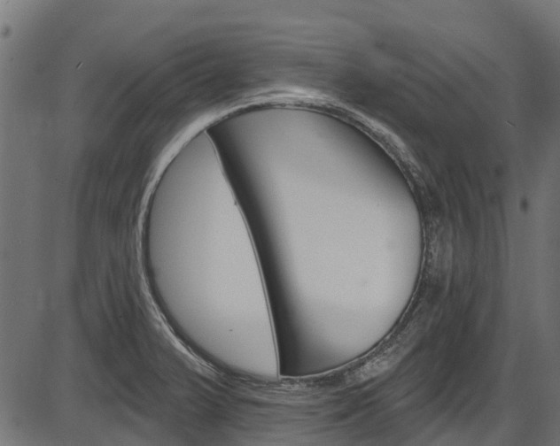 X0000087551375200704270938