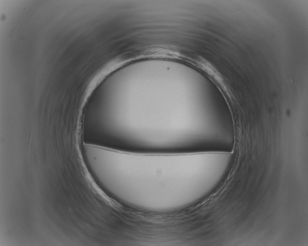 X0000087551379200704270938