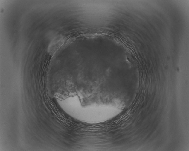 X0000087551393200704270937