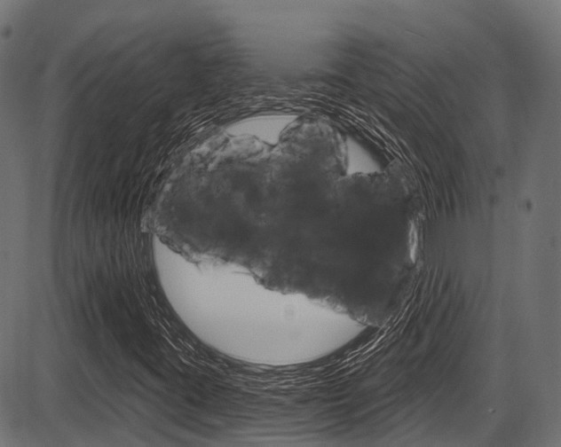 X0000087551395200704270937
