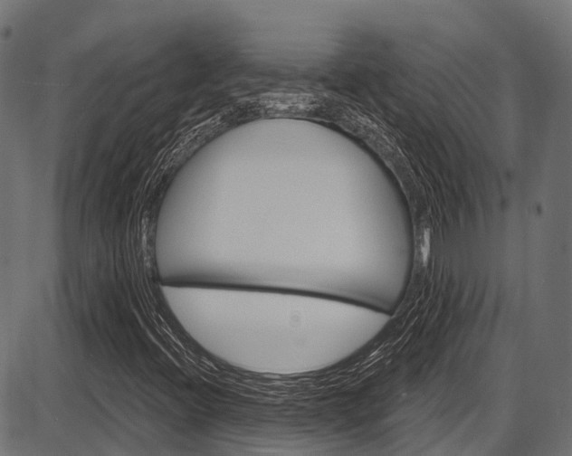 X0000087551396200704270937