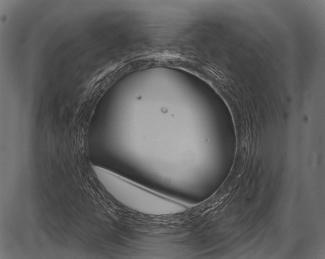X0000087551398200704270937