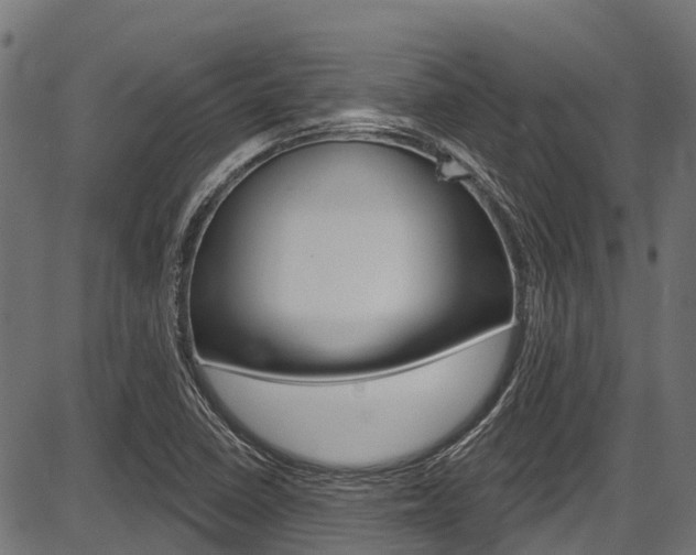 X0000087551410200704270937
