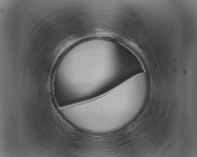 X0000087551412200704270937