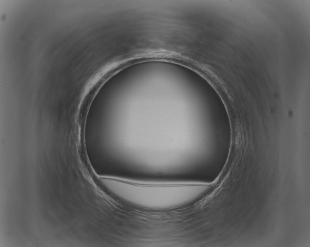 X0000087551414200704270937