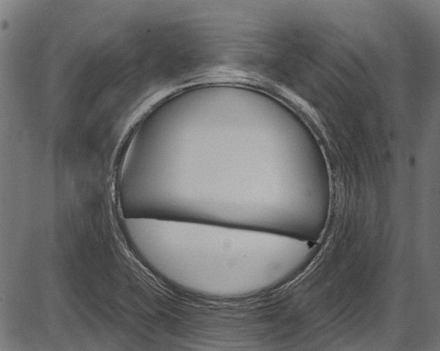 X0000087551415200704270937