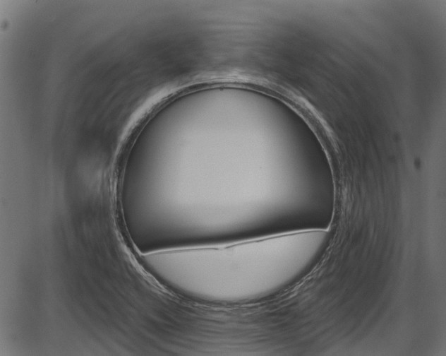X0000087551416200704270937