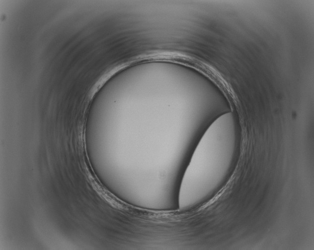 X0000087551417200704270937