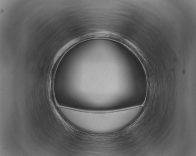 X0000087551418200704270937