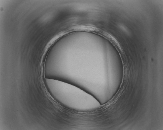 X0000087551419200704270937