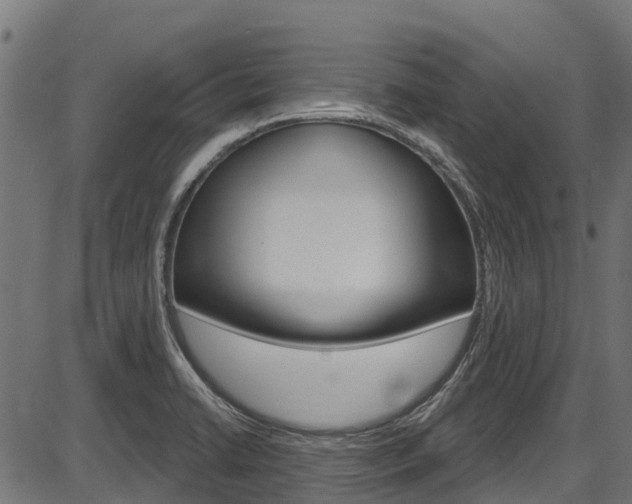 X0000087551422200704270937