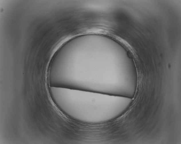 X0000087551423200704270937