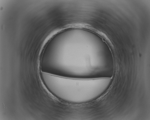 X0000087551424200704270937