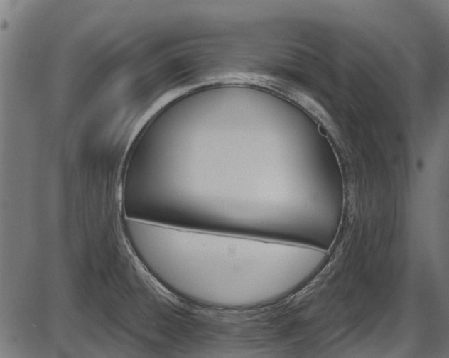 X0000087551428200704270937