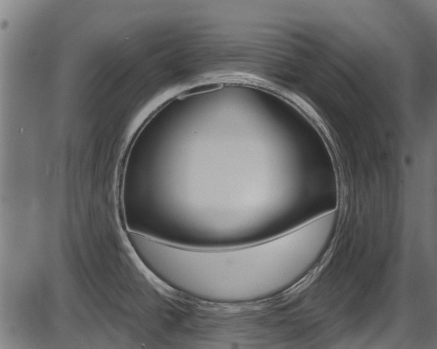 X0000087551438200704270938