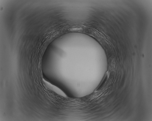 X0000087551441200704270937