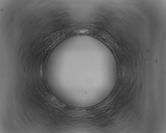X0000087551442200704270937