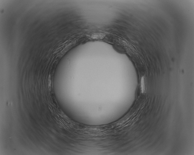X0000087551443200704270937