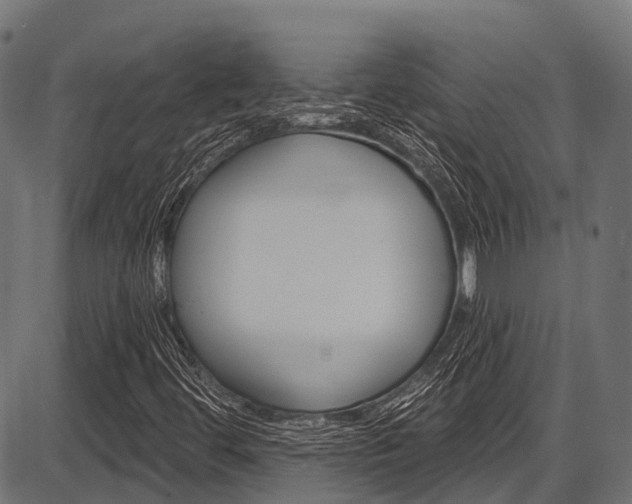 X0000087551444200704270937