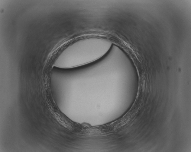 X0000087551448200704270937