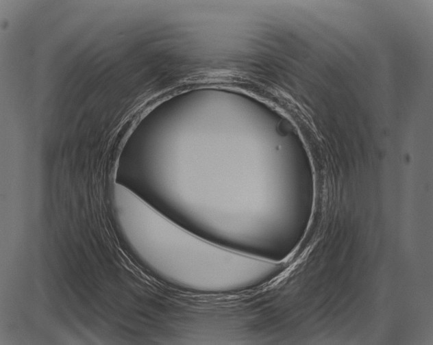 X0000087551449200704270937