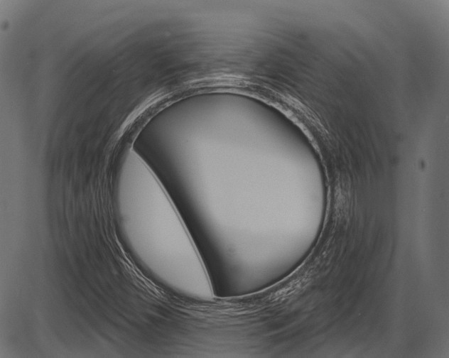 X0000087551450200704270937