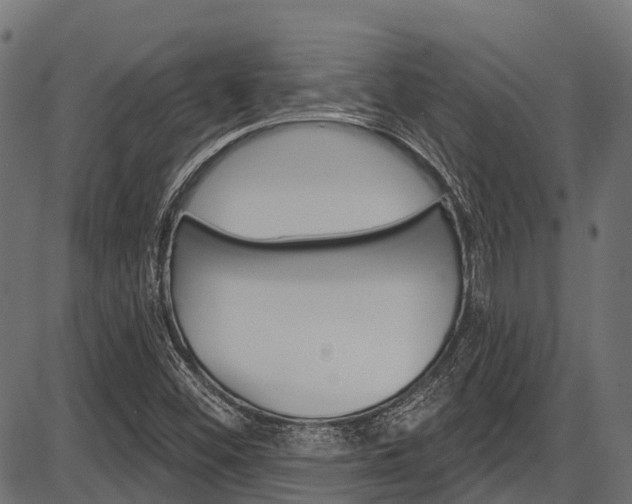 X0000087551452200704270937