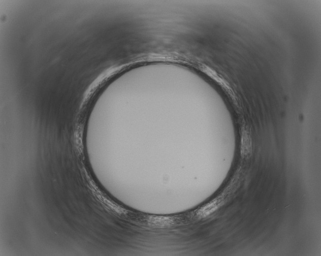 X0000087551454200704270937