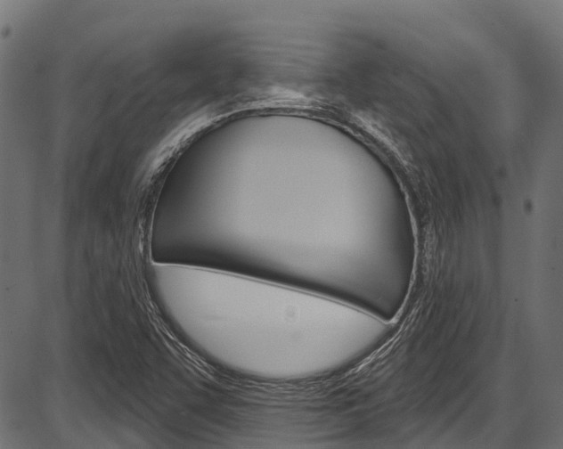 X0000087551455200704270937