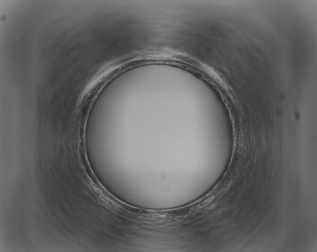 X0000087551456200704270937